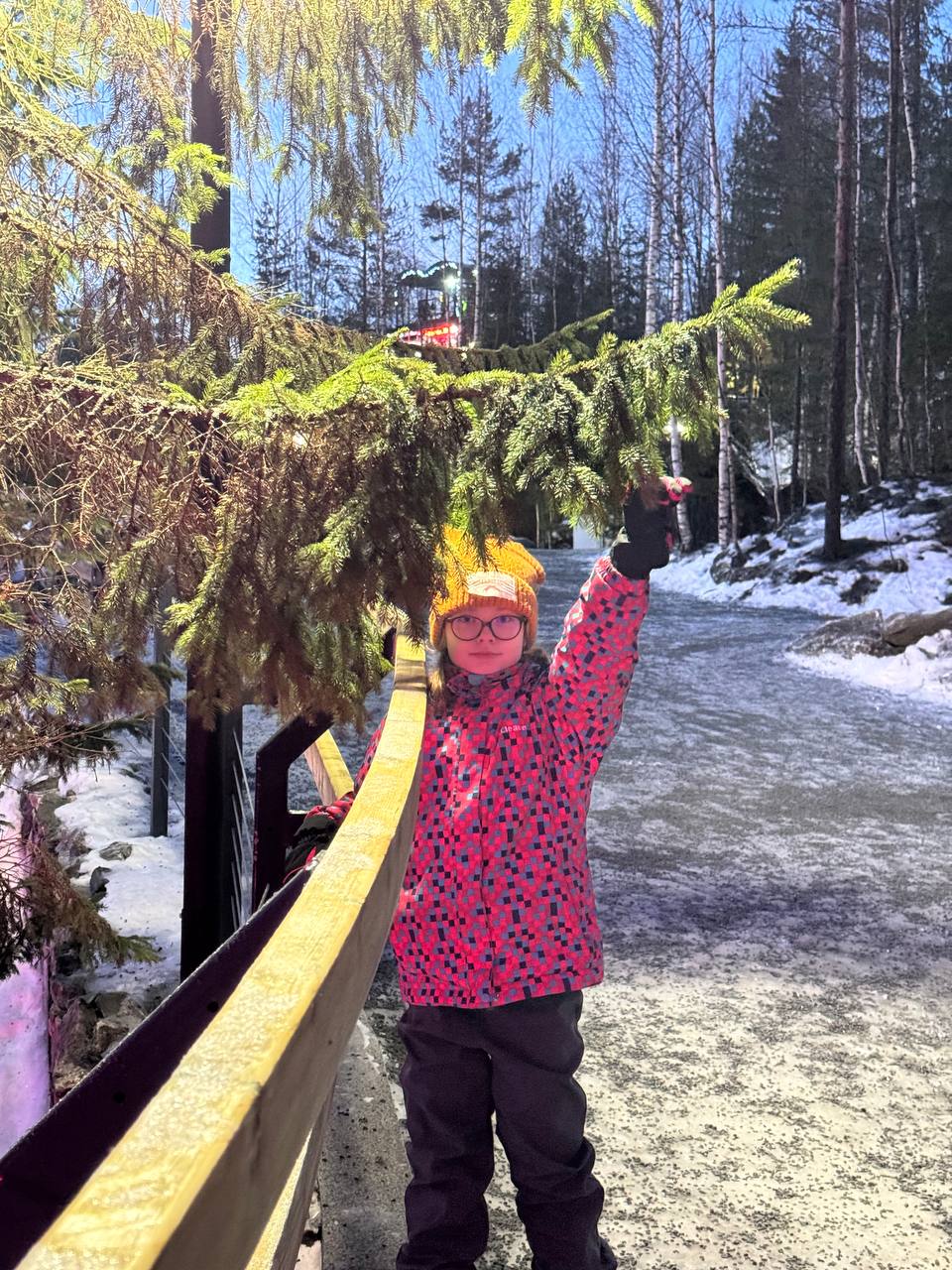 Вот немного фоток | Сетка — социальная сеть от hh.ru