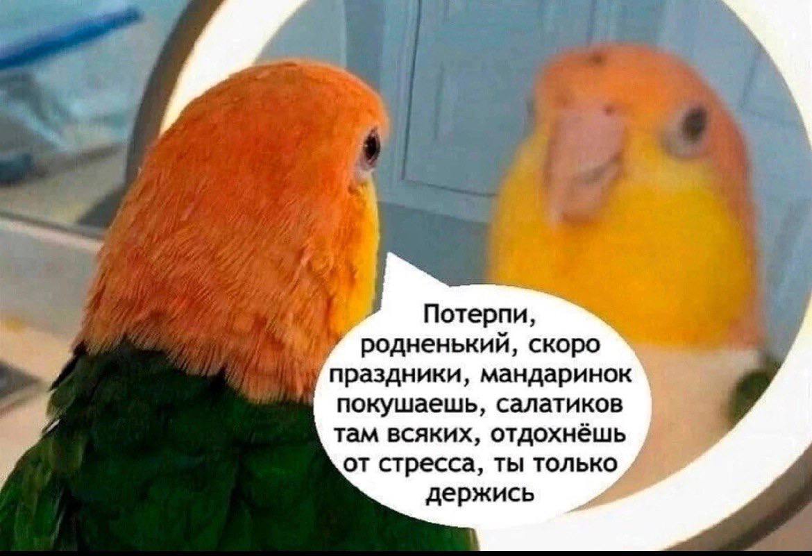Собрали все посты недели в один: 
➡️ почему цели важно ставить в декабре?
➡️ сертификат на любую услугу проекта  
➡️ сайты по поиску работы в Казахстане 
➡️ новости рынка труда
➡️ способы релокации в ... | Сетка — социальная сеть от hh.ru