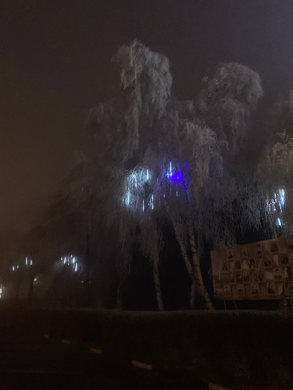 Предновогодние красоты в тумане
📷от подписчицы | Сетка — социальная сеть от hh.ru