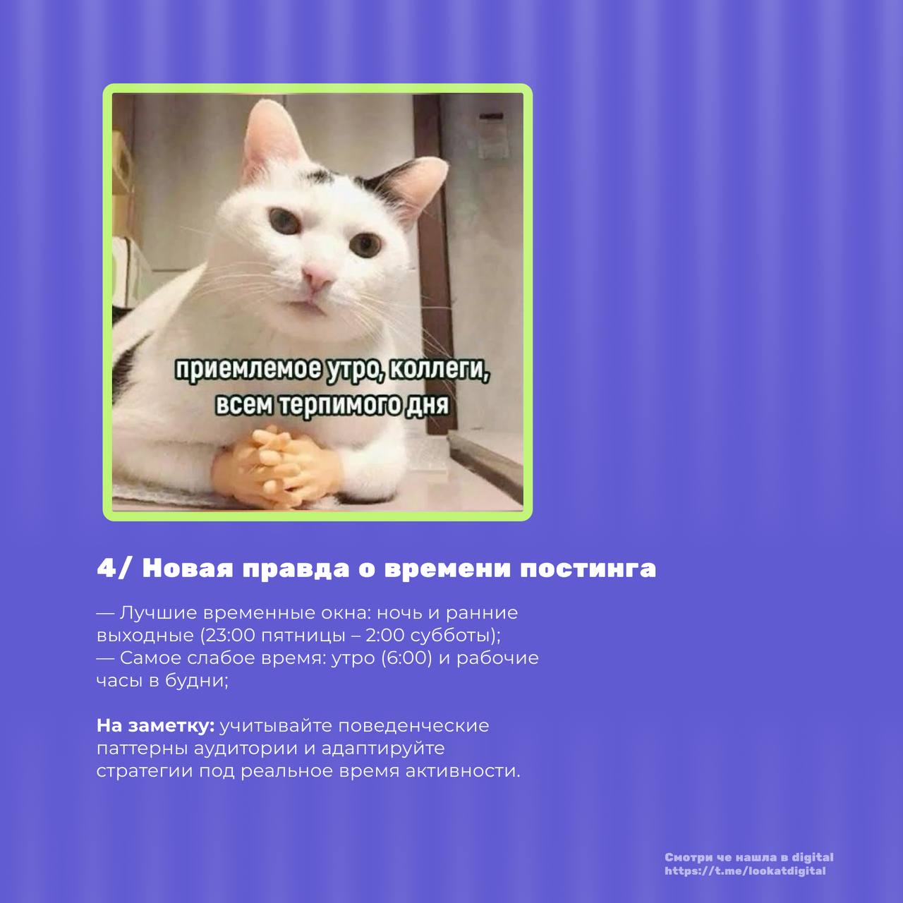 Одиночество с мобилками в час ночи — какие тренды и итоги будут диктовать маркетологам что делать в 2025
Я не удивлю вас ни мобайл ферст ни даже геймификацией | Сетка — социальная сеть от hh.ru