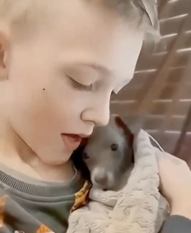 Любовь 🥰
Сотрите Видео тут 👉 https://t.me/zestforlive/201 | Сетка — социальная сеть от hh.ru