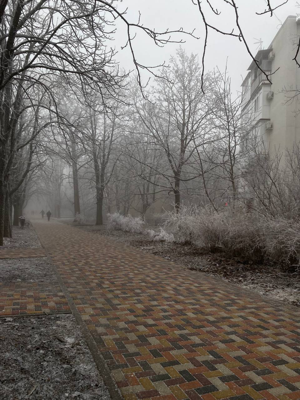 Туманный Ставрополь
📷от подписчицы
@stavropolyevibe | Сетка — социальная сеть от hh.ru