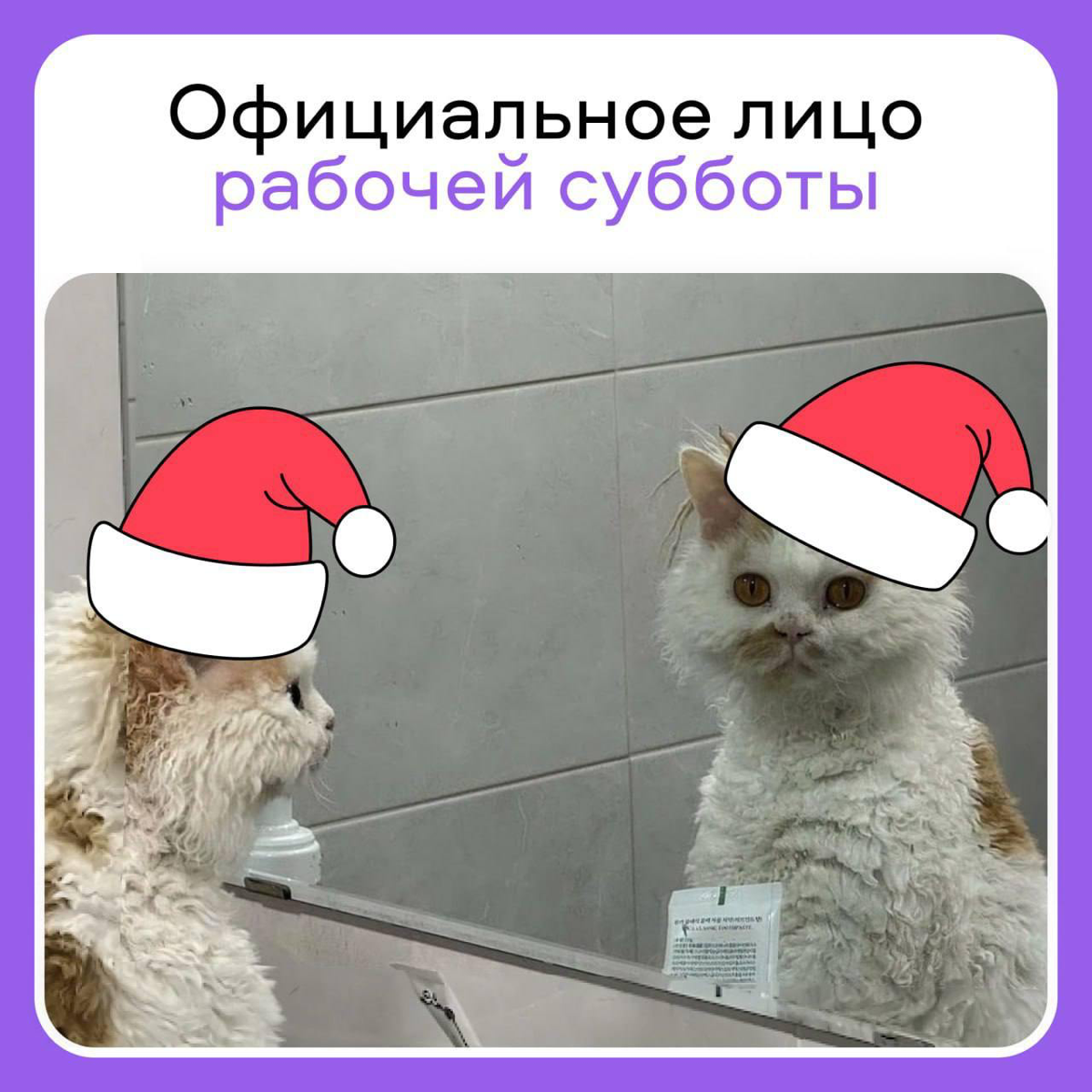 👍 Это не слёзы, это рабочая суббота в глаз попала. Как настрой, коллеги?
#развлекательное | Сетка — социальная сеть от hh.ru