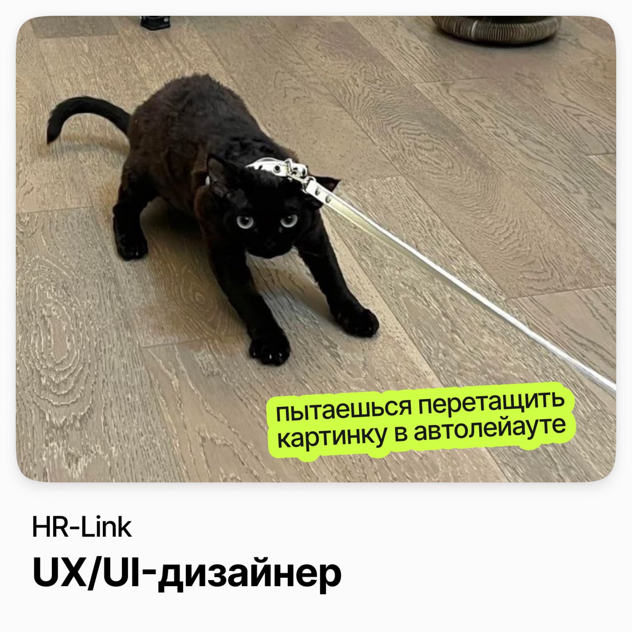 ⠀
🌟 UX/UI Дизайнер / HR-Link
HRlink — быстрорастущий стартап и первая в России платформа кадрового электронного документооборота
Ищут дизайнера, который имеет опыт работы со сложными it-системами 🌟Есл... | Сетка — социальная сеть от hh.ru