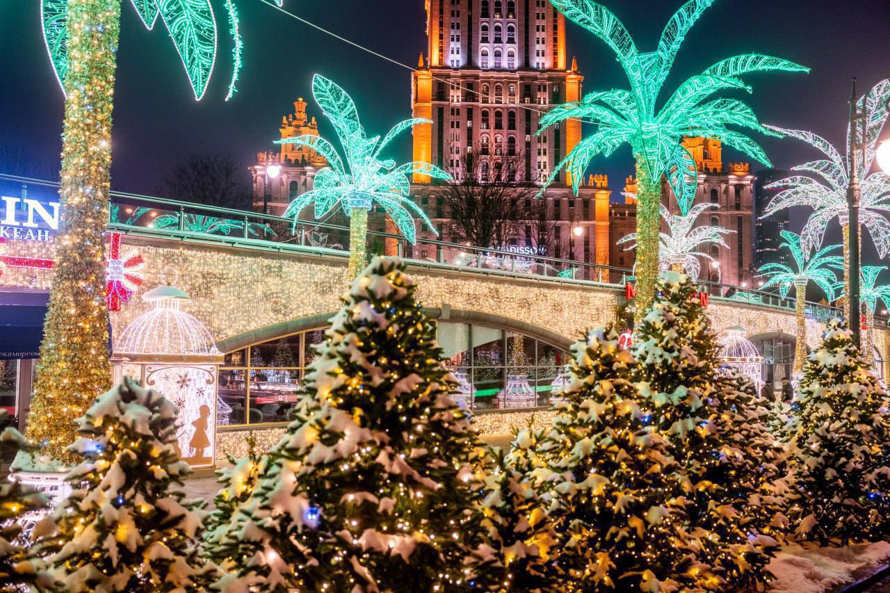 🎄Новогодние пальмы можно найти на набережной Тараса Шевченко
📲Подпишитесь на Вдвижении
#бесплатно | Сетка — социальная сеть от hh.ru