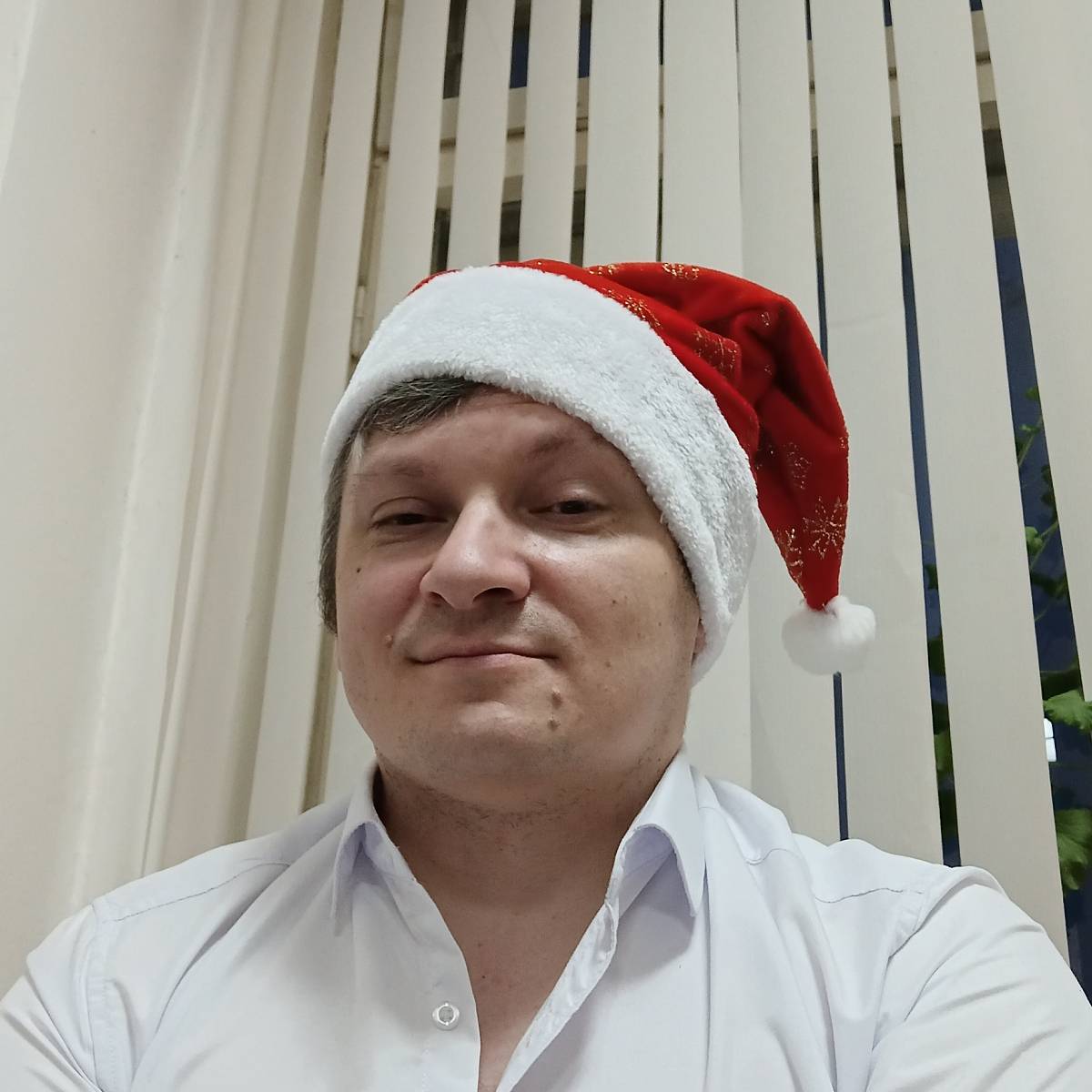 Владимир Хансен