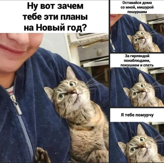 Ну вот и прошел последний рабочий день в этом году💛🖤 
 
Итоги года выложу на днях🤫 | Сетка — социальная сеть от hh.ru