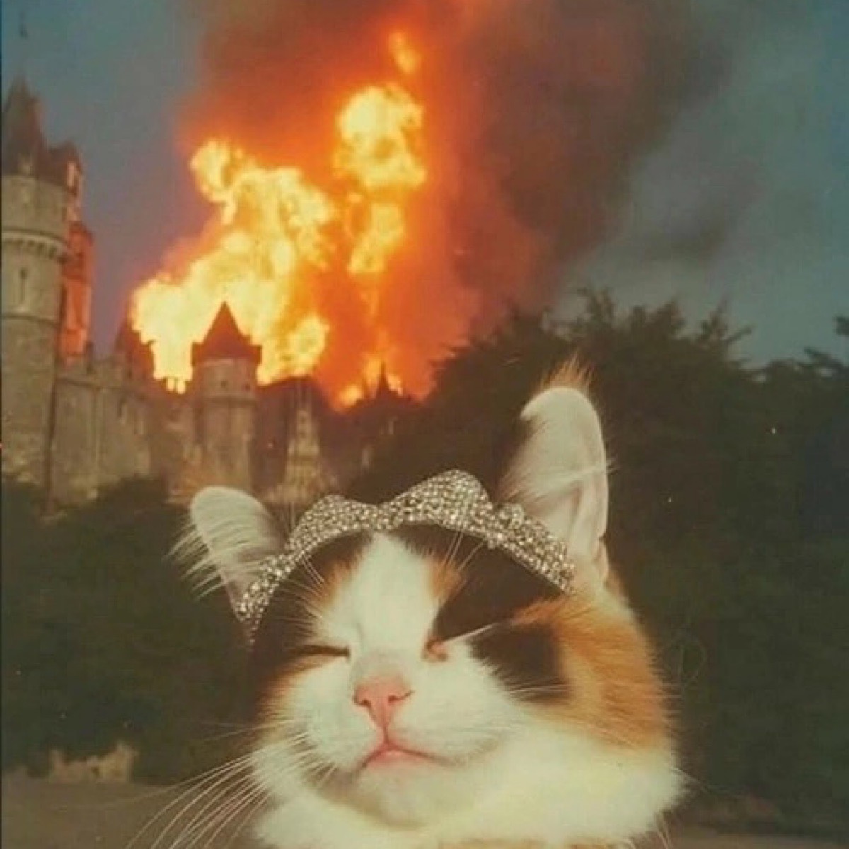 Наталья Нуждина