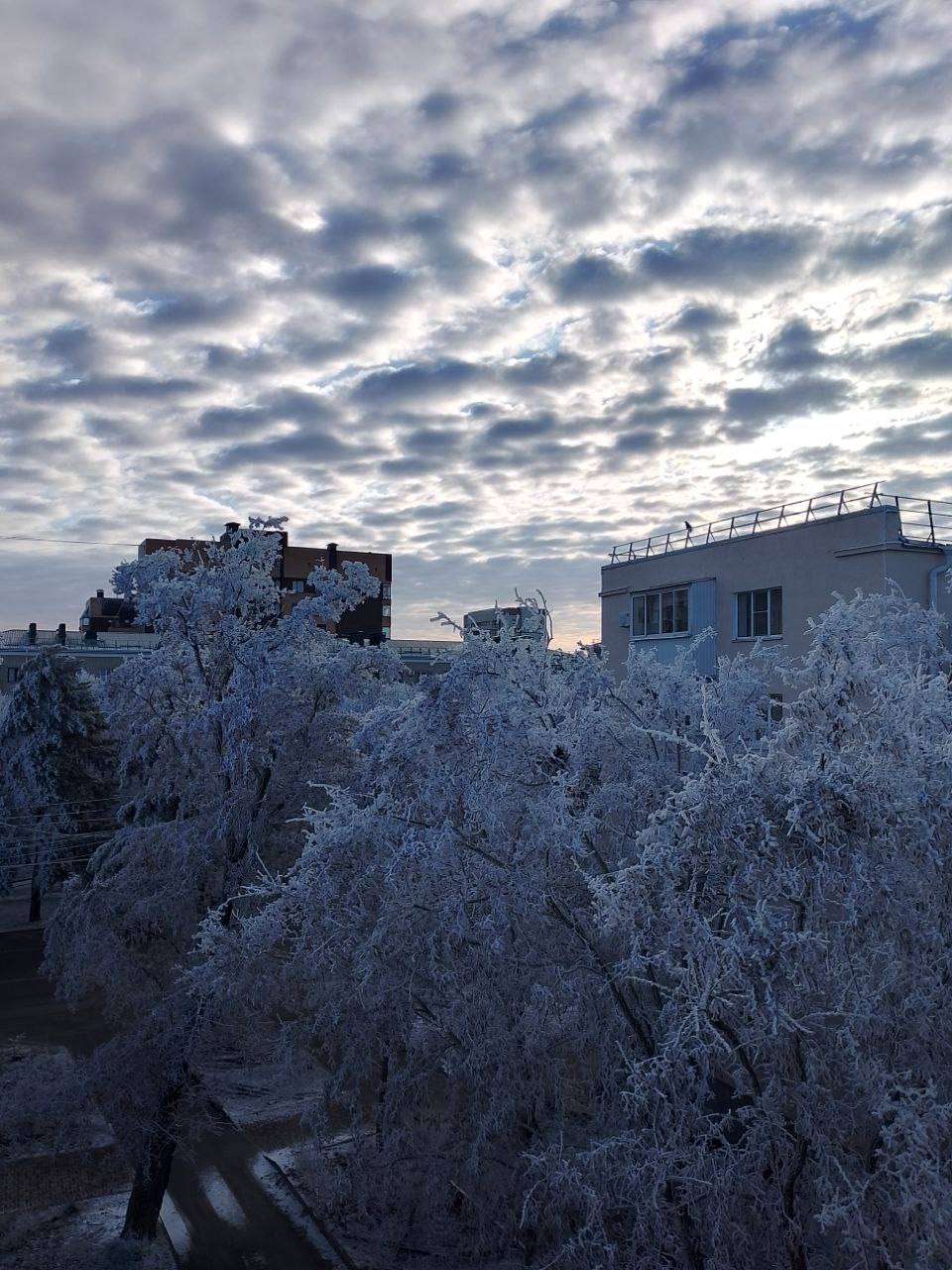 Зимний Ставрополь❄️
@stavropolyevibe | Сетка — социальная сеть от hh.ru