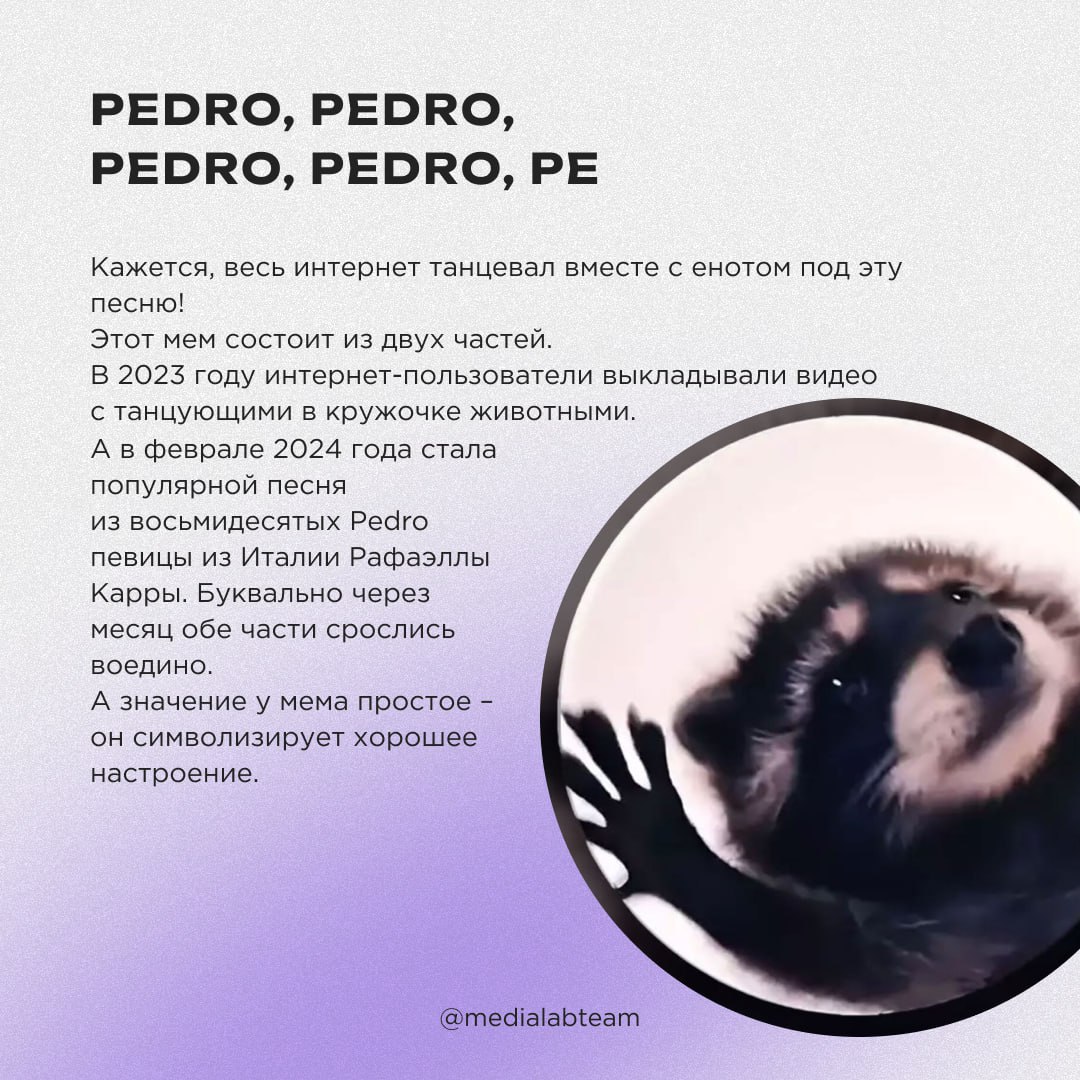 😁 Каждое воскресенье мы выпускаем по одному мему, который так или иначе связан с медиажизнью. Но сегодня мы покажем те, которые взорвали интернет в 2024 году, а ещё немного расскажем их историю | Сетка — социальная сеть от hh.ru