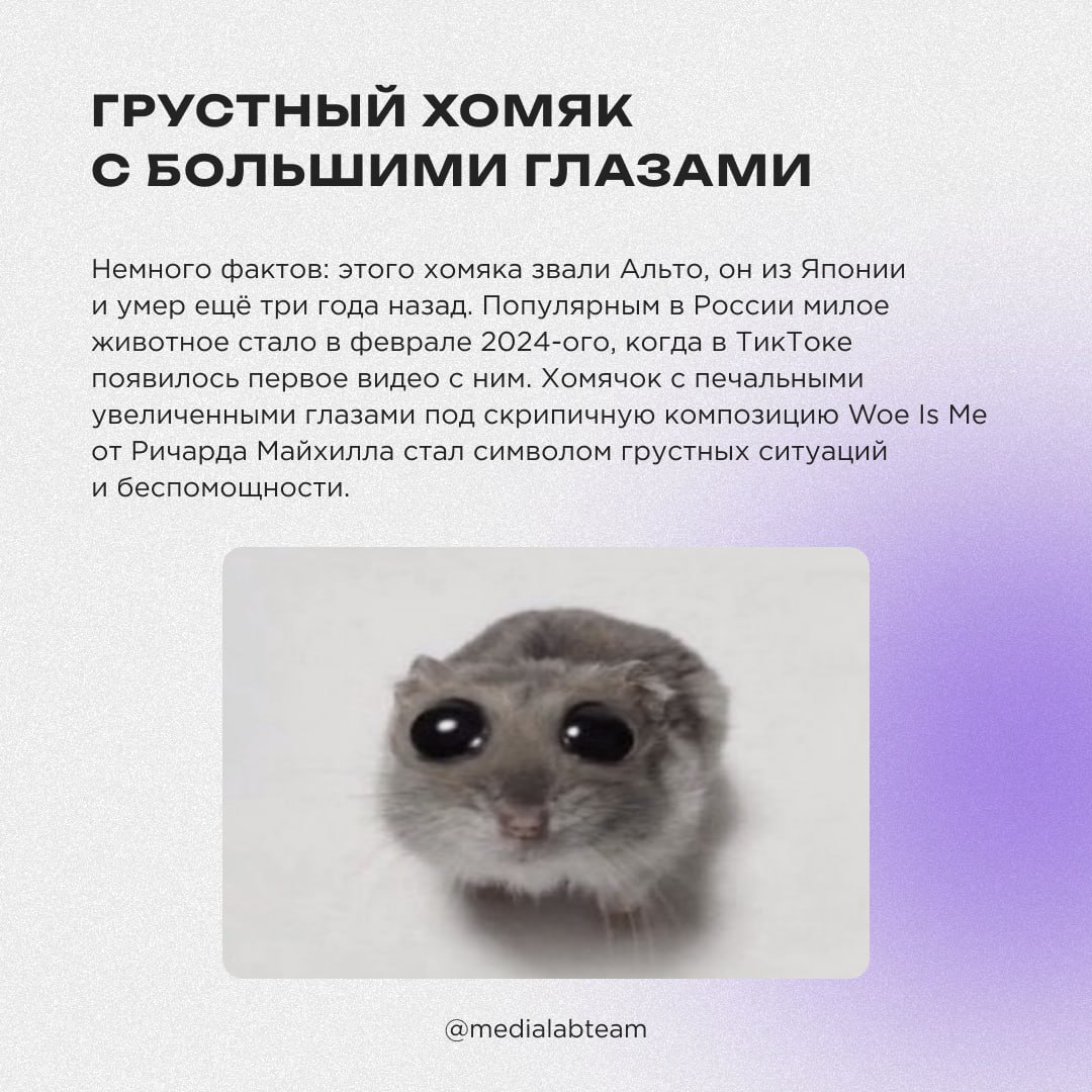 😁 Каждое воскресенье мы выпускаем по одному мему, который так или иначе связан с медиажизнью. Но сегодня мы покажем те, которые взорвали интернет в 2024 году, а ещё немного расскажем их историю | Сетка — социальная сеть от hh.ru