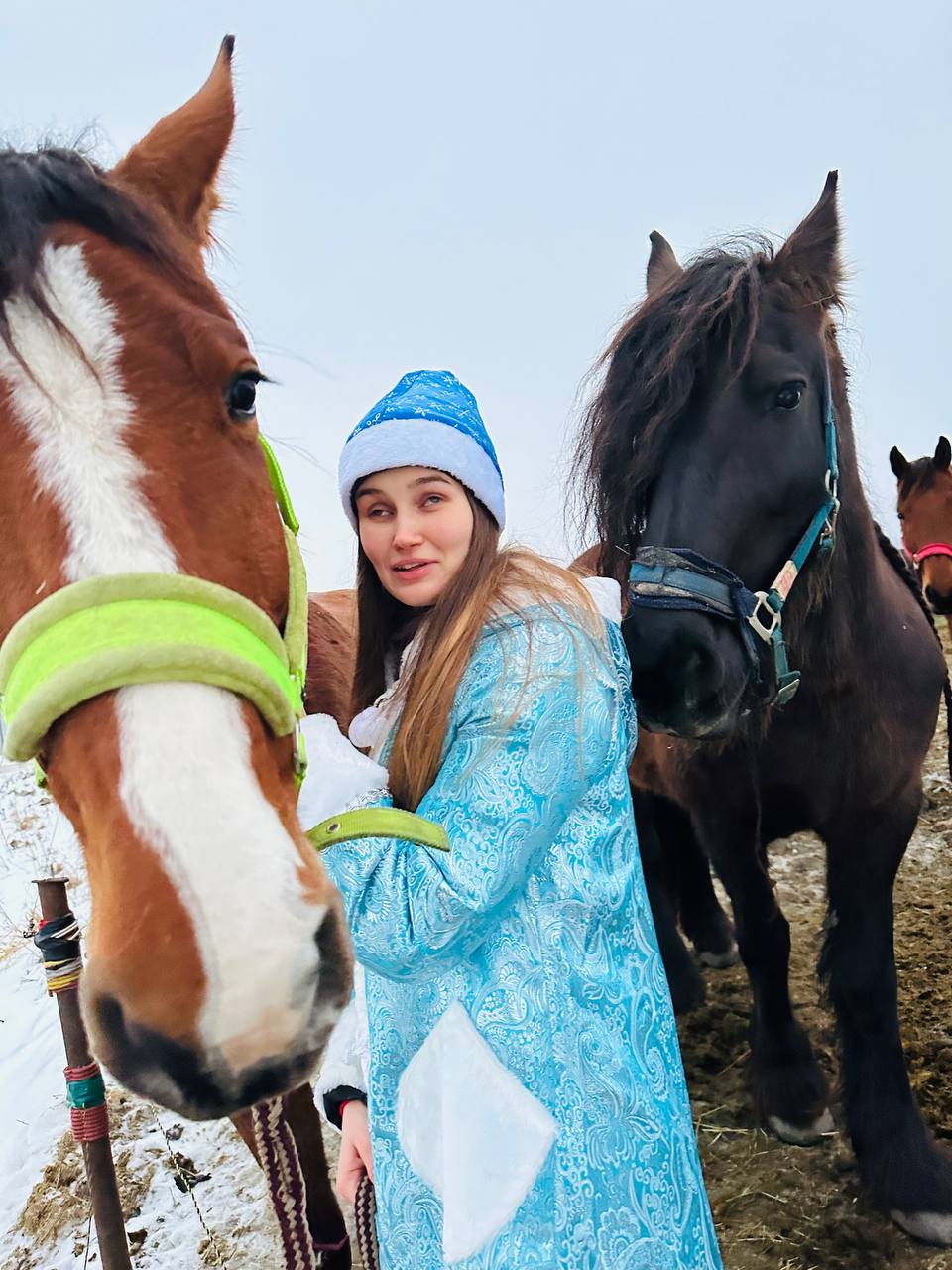 Сегодня встречали в Гришино рассвет 🌅 На первом фото Боняша 🐴 со своими подружками буренками 🐮 | Сетка — социальная сеть от hh.ru