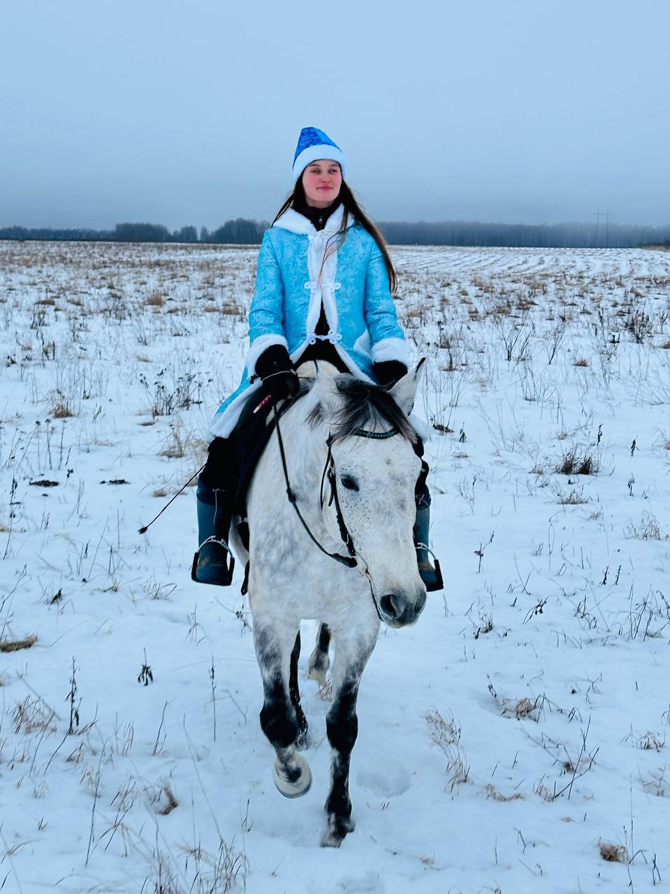Сегодня встречали в Гришино рассвет 🌅 На первом фото Боняша 🐴 со своими подружками буренками 🐮 | Сетка — социальная сеть от hh.ru