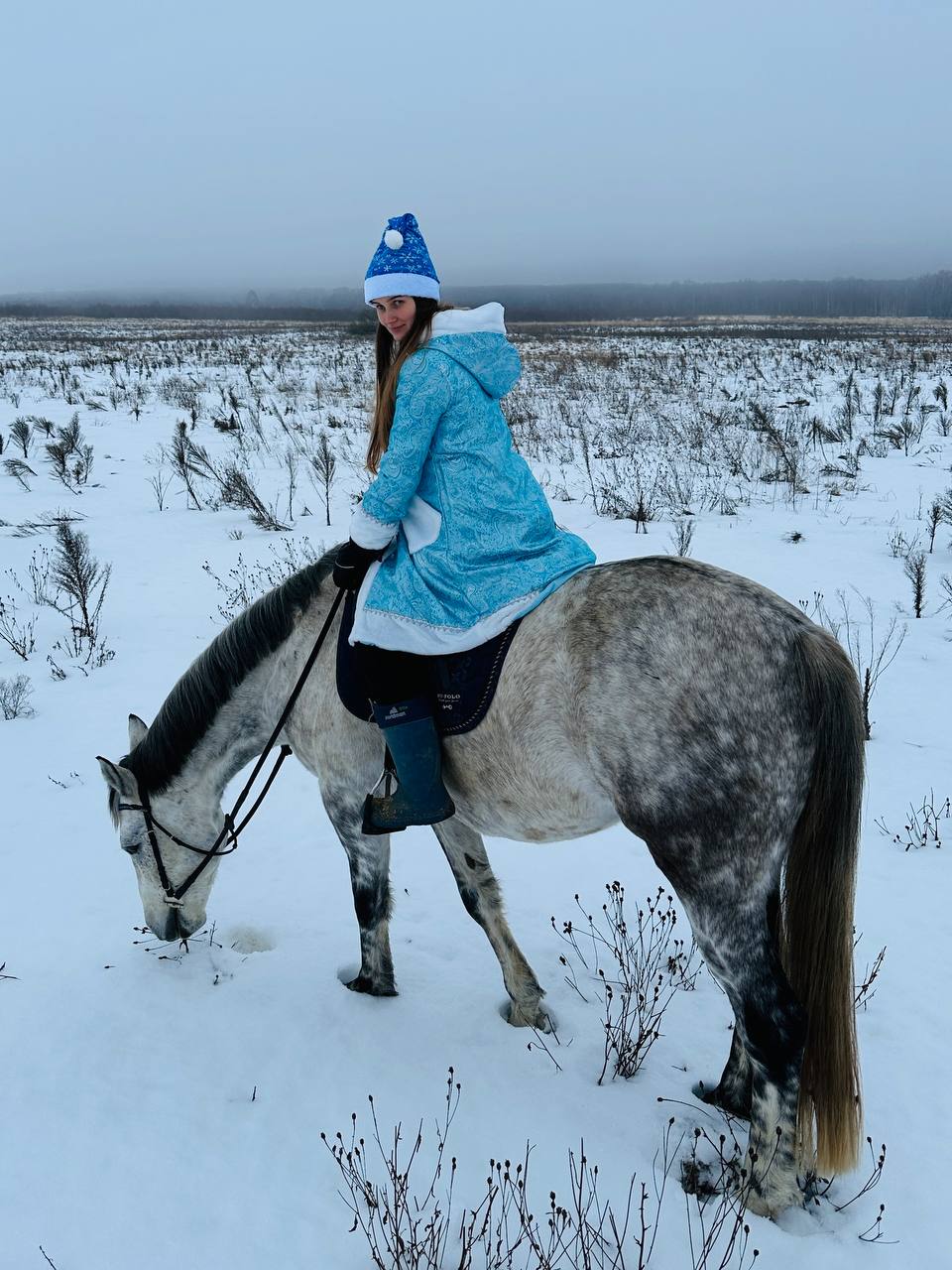 Сегодня встречали в Гришино рассвет 🌅 На первом фото Боняша 🐴 со своими подружками буренками 🐮 | Сетка — социальная сеть от hh.ru