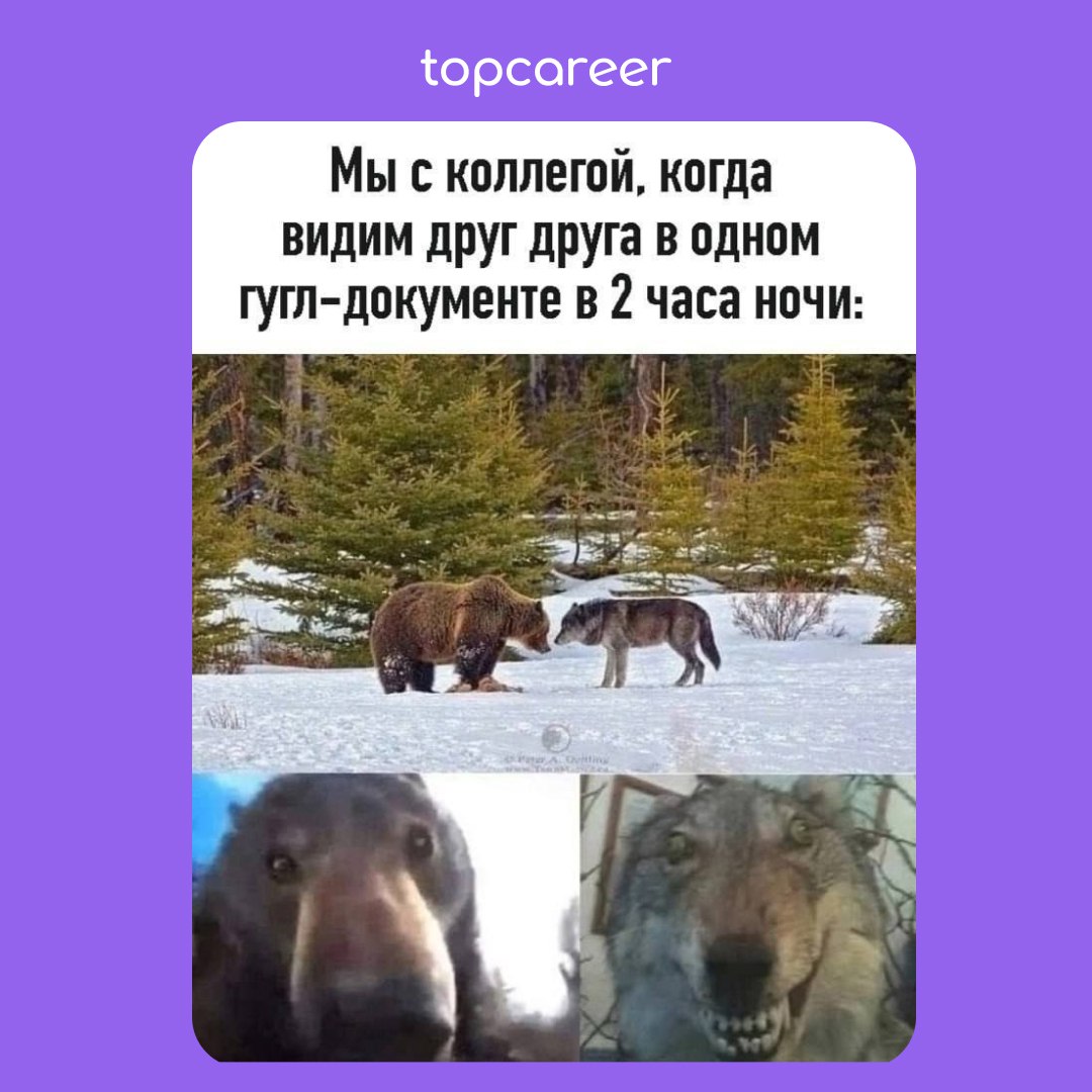 🎁🎁🎁🎁🎁🎁🎁 Самое время сделать это...
Посмотреть HR-мемы 👀
Коллеги, знаем, что большинство уже в предвкушении Нового года, кто-то бегает за подарками, кто-то делает заготовки для салатов | Сетка — социальная сеть от hh.ru