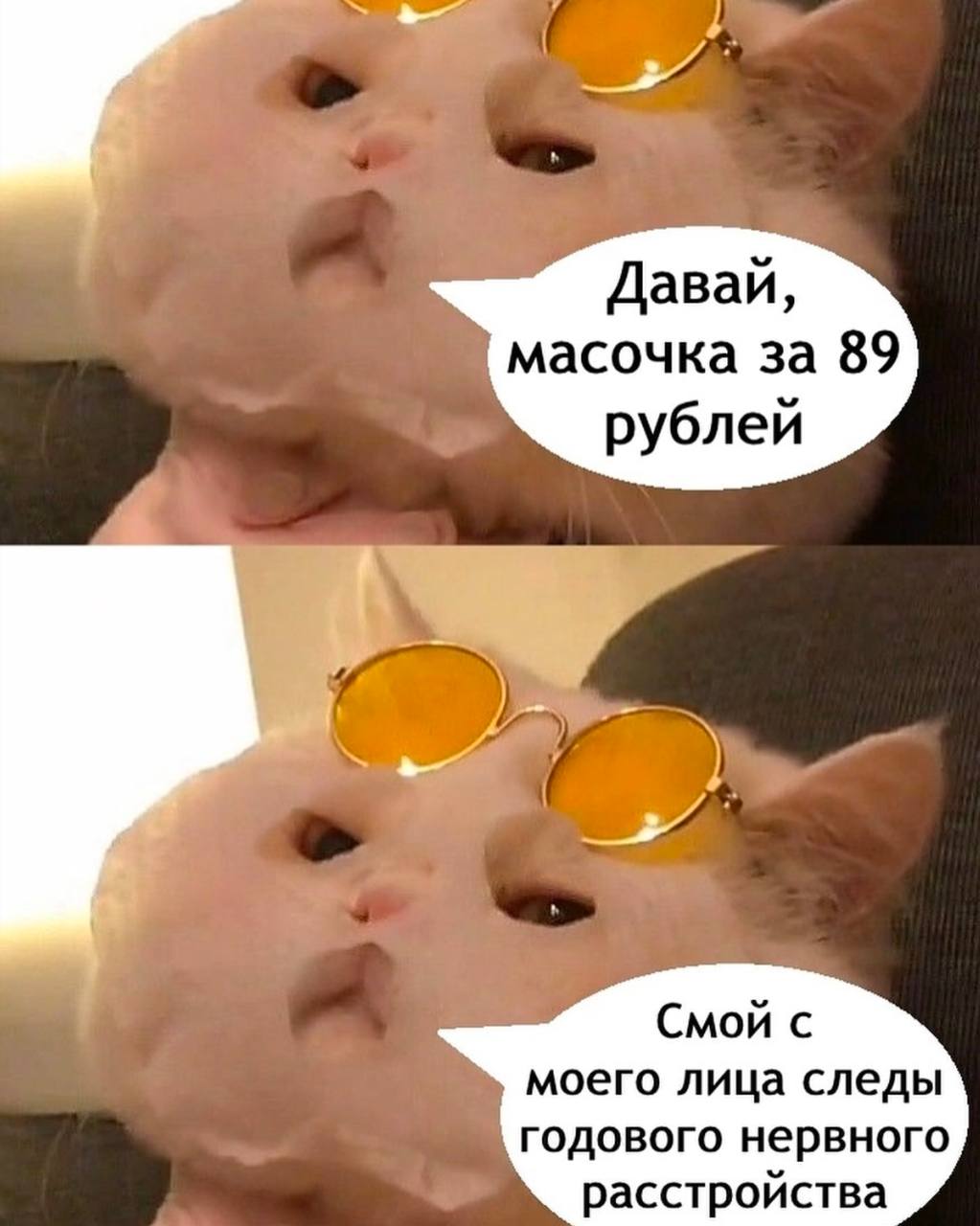 Мем
Продолжаю рубрику позавчерашний мем, мне нравится. 
Делись в комментариях своим любимым мемом прошлой недели*
#мемвшляпе | Сетка — социальная сеть от hh.ru