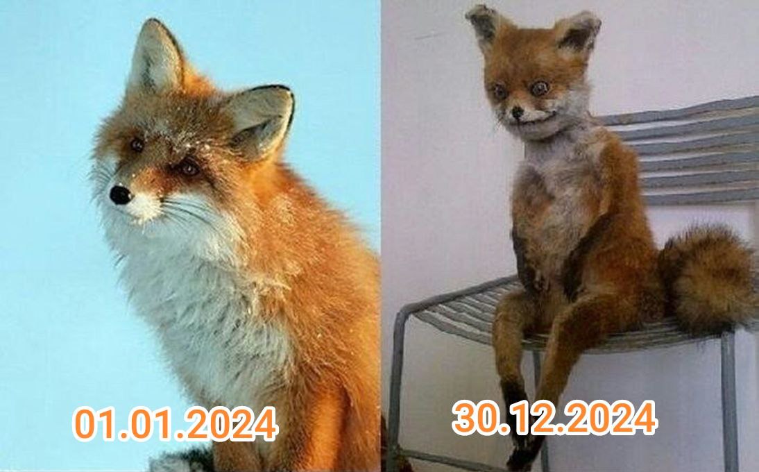 Сегодня отправлен последний отчет ...
Рабочий 2024 закрыт 🎉🎉🎉
Удалось ли всё?
Конечно, нет. | Сетка — социальная сеть от hh.ru