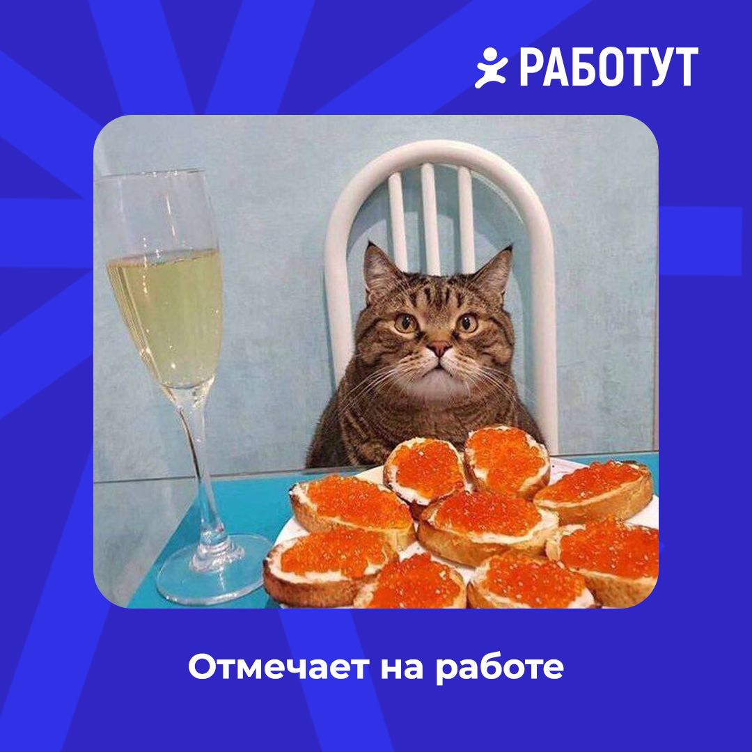 Осталось два дня и чудо случится 🤩 А сейчас предлагаем немного посмеяться и продумать стратегию для празднования😄 Какая ближе тебе? | Сетка — социальная сеть от hh.ru