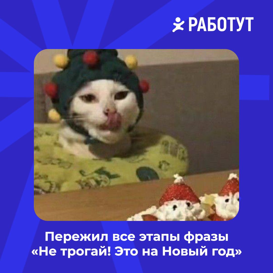 Осталось два дня и чудо случится 🤩 А сейчас предлагаем немного посмеяться и продумать стратегию для празднования😄 Какая ближе тебе? | Сетка — социальная сеть от hh.ru