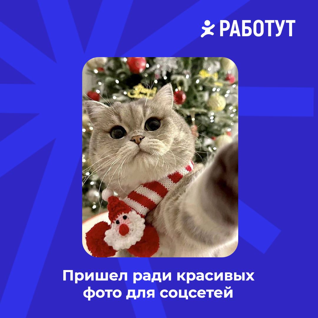Осталось два дня и чудо случится 🤩 А сейчас предлагаем немного посмеяться и продумать стратегию для празднования😄 Какая ближе тебе? | Сетка — социальная сеть от hh.ru