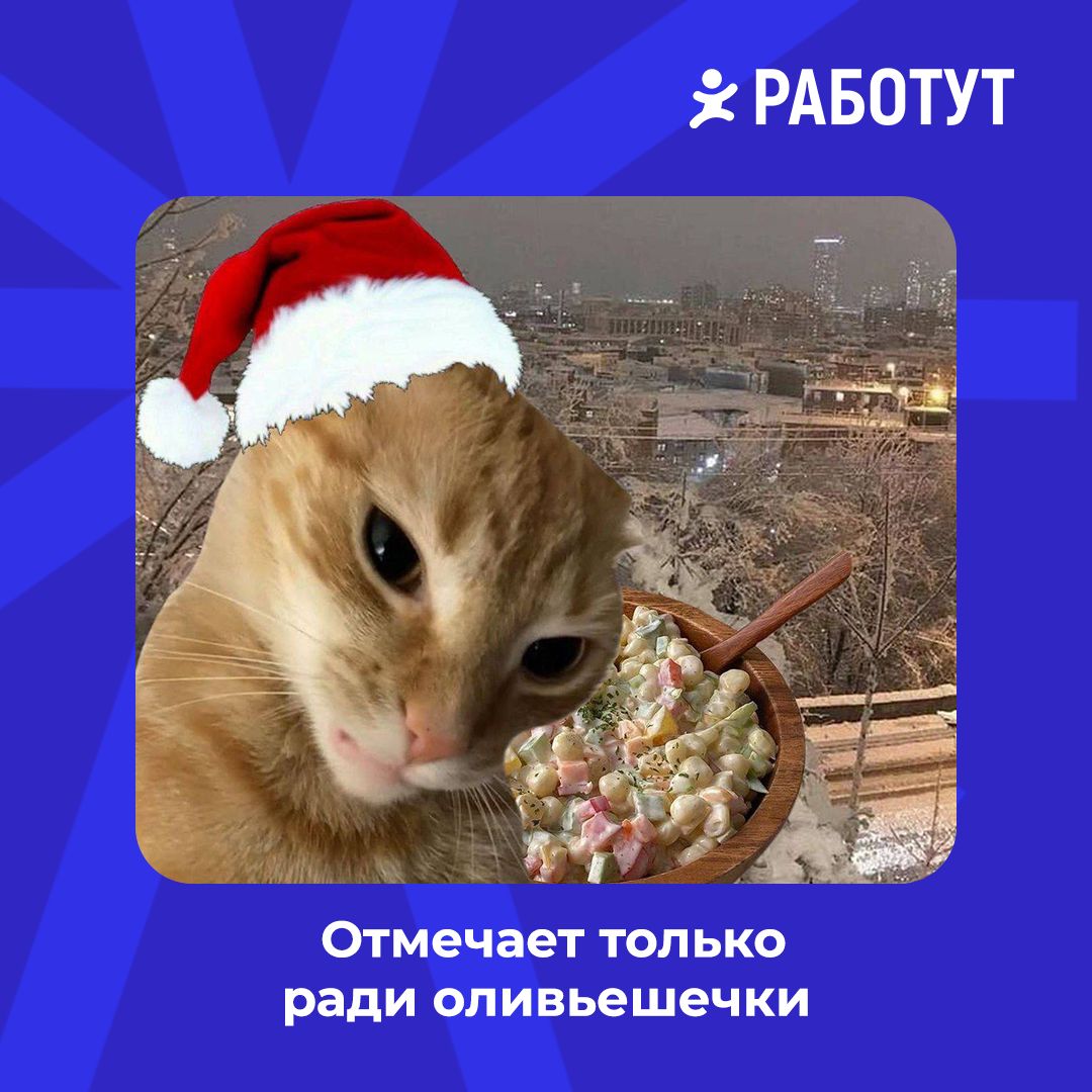 Осталось два дня и чудо случится 🤩 А сейчас предлагаем немного посмеяться и продумать стратегию для празднования😄 Какая ближе тебе? | Сетка — социальная сеть от hh.ru