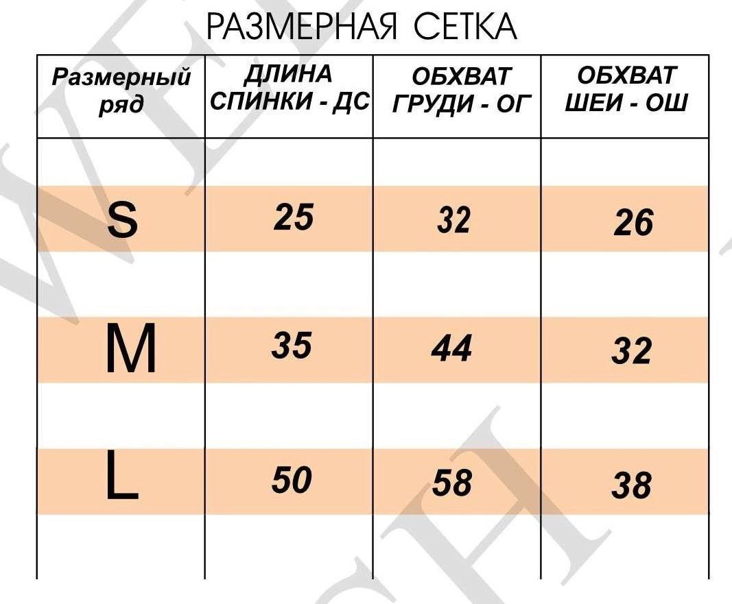 Выкройка свитшота построена на три размера на собаку породы ФРАНЦУЗСКИЙ БУЛЬДОГ | Сетка — социальная сеть от hh.ru