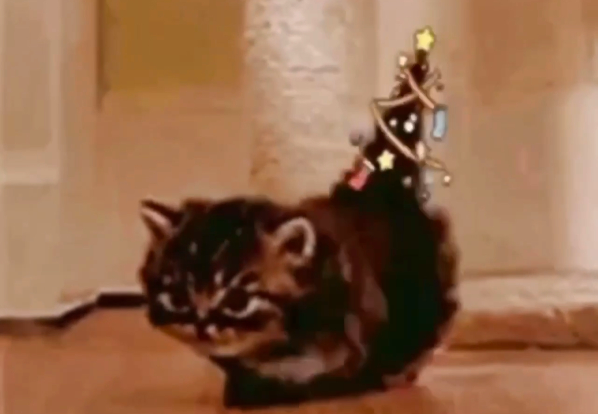 Как Новый Год встретишь, так его и проведешь
Какой-то очередной канун НГ. Я одна (посрались с мужем) | Сетка — социальная сеть от hh.ru