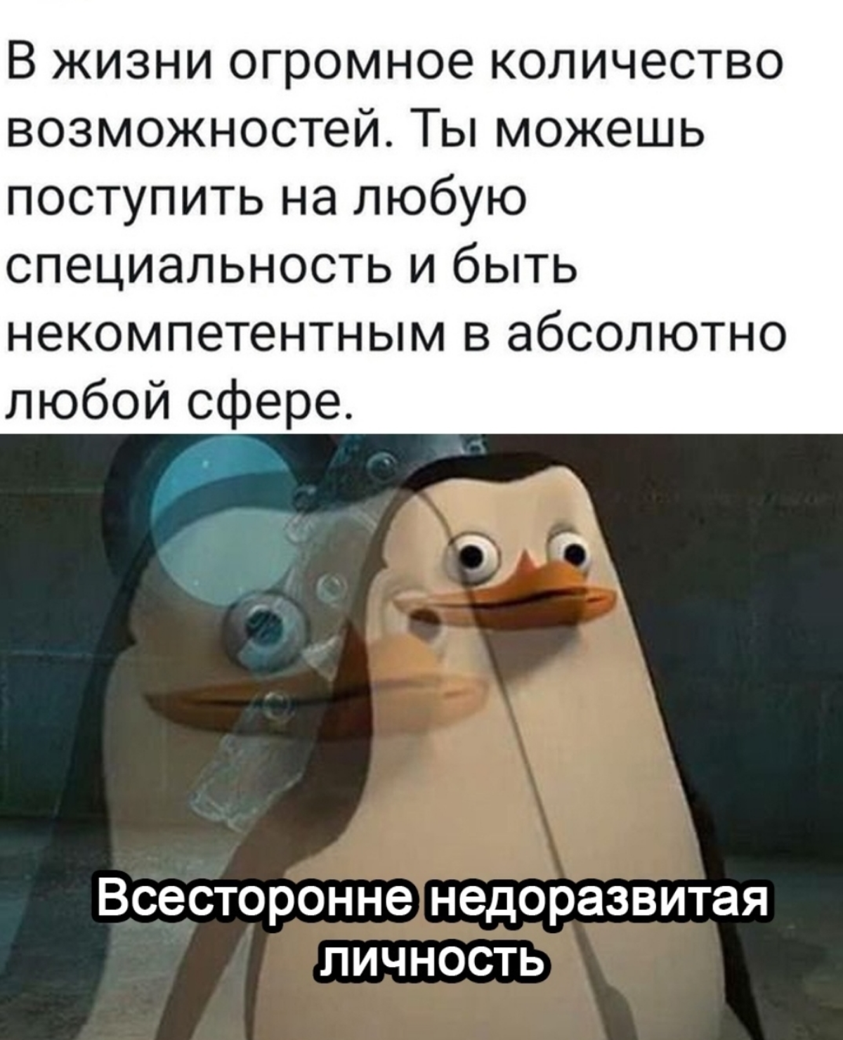 Ито я | Сетка — социальная сеть от hh.ru