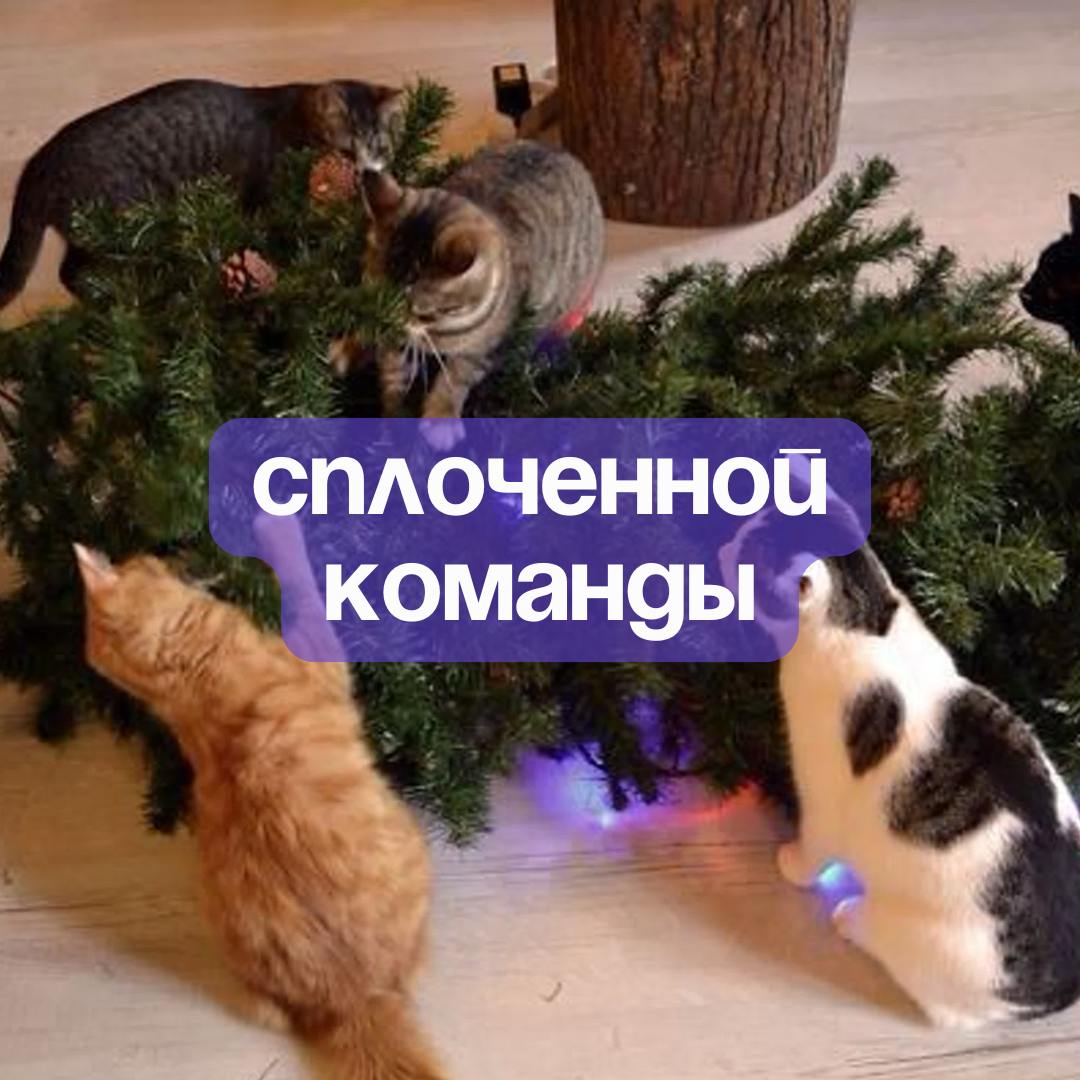 ✨С наступающим Новым годом, дорогие рефничане✨
До Нового года осталось совсем чуть-чуть — пора завершать все дела, нарезать салаты, смотреть Иронию судьбы и дарить подаорки 🍊
Спасибо вам за то, что бы... | Сетка — социальная сеть от hh.ru