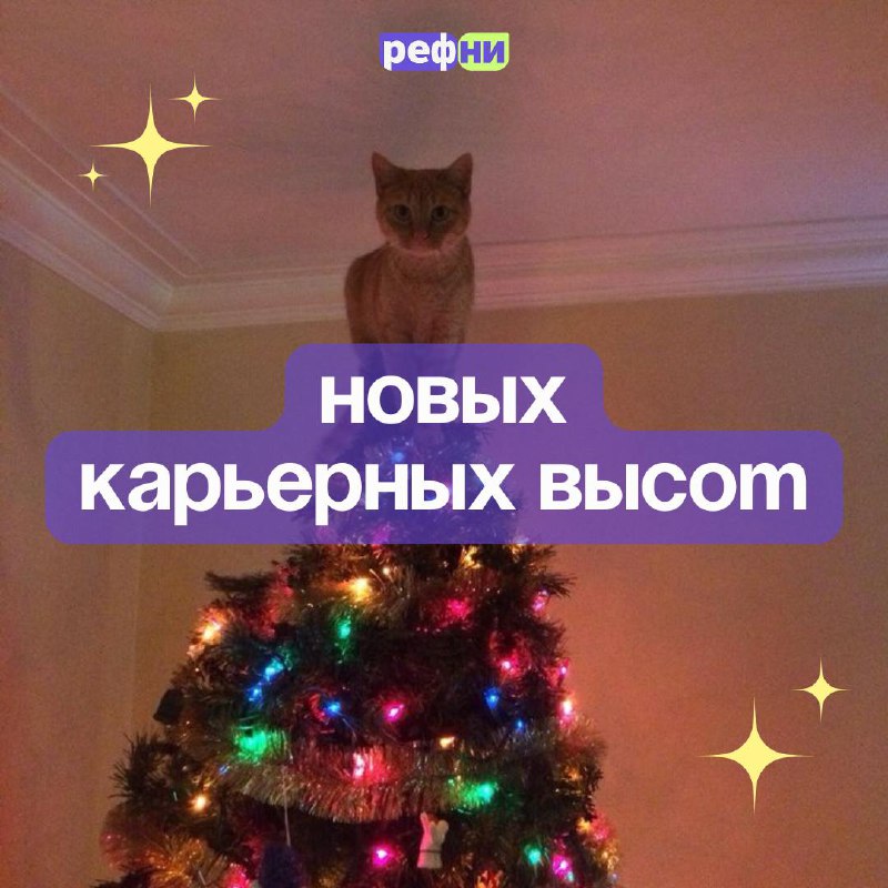 ✨С наступающим Новым годом, дорогие рефничане✨
До Нового года осталось совсем чуть-чуть — пора завершать все дела, нарезать салаты, смотреть Иронию судьбы и дарить подаорки 🍊
Спасибо вам за то, что бы... | Сетка — социальная сеть от hh.ru