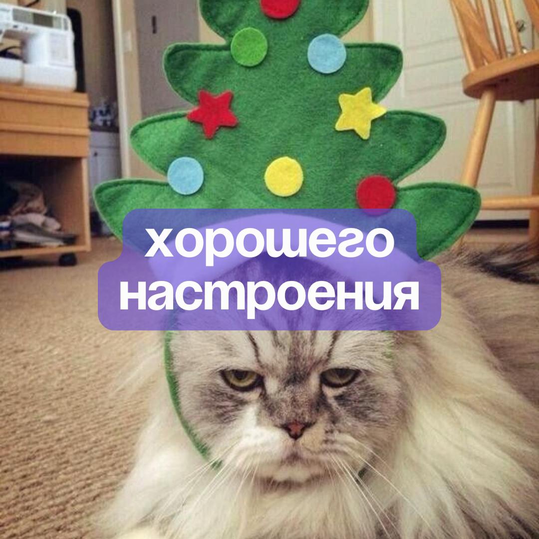 ✨С наступающим Новым годом, дорогие рефничане✨
До Нового года осталось совсем чуть-чуть — пора завершать все дела, нарезать салаты, смотреть Иронию судьбы и дарить подаорки 🍊
Спасибо вам за то, что бы... | Сетка — социальная сеть от hh.ru
