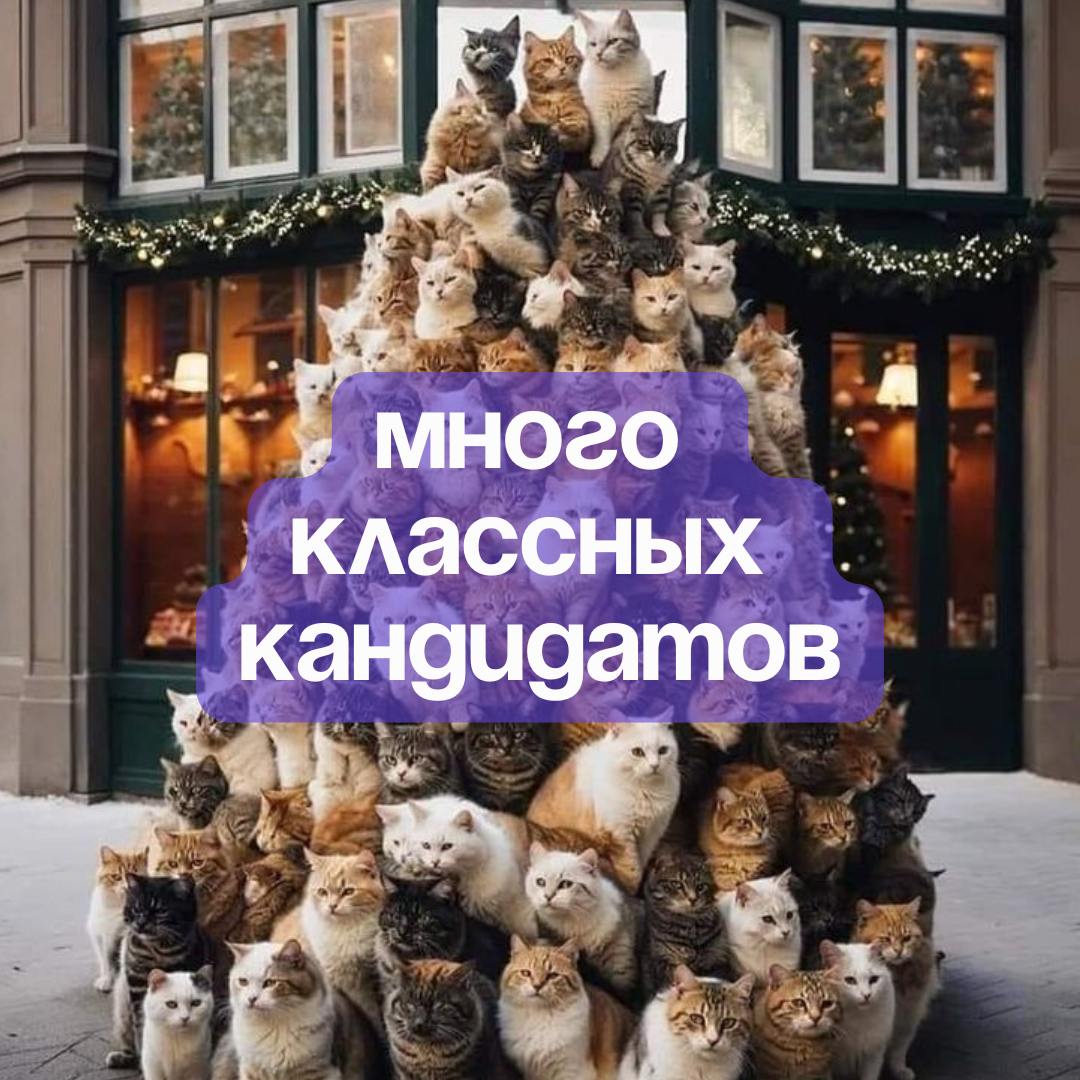 ✨С наступающим Новым годом, дорогие рефничане✨
До Нового года осталось совсем чуть-чуть — пора завершать все дела, нарезать салаты, смотреть Иронию судьбы и дарить подаорки 🍊
Спасибо вам за то, что бы... | Сетка — социальная сеть от hh.ru