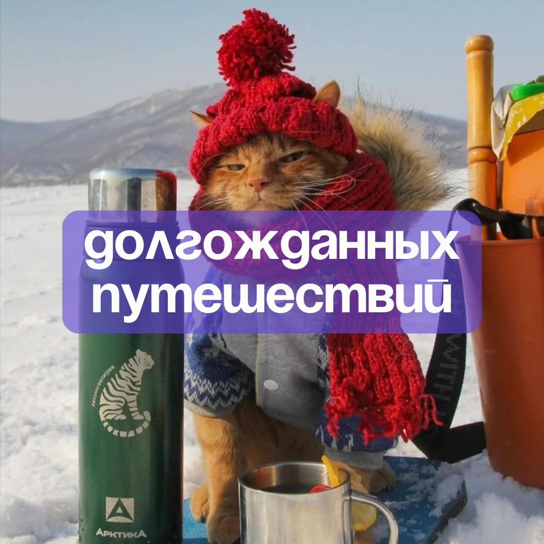 ✨С наступающим Новым годом, дорогие рефничане✨
До Нового года осталось совсем чуть-чуть — пора завершать все дела, нарезать салаты, смотреть Иронию судьбы и дарить подаорки 🍊
Спасибо вам за то, что бы... | Сетка — социальная сеть от hh.ru