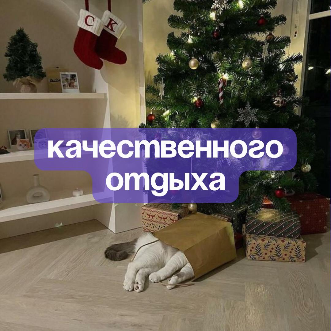 ✨С наступающим Новым годом, дорогие рефничане✨
До Нового года осталось совсем чуть-чуть — пора завершать все дела, нарезать салаты, смотреть Иронию судьбы и дарить подаорки 🍊
Спасибо вам за то, что бы... | Сетка — социальная сеть от hh.ru