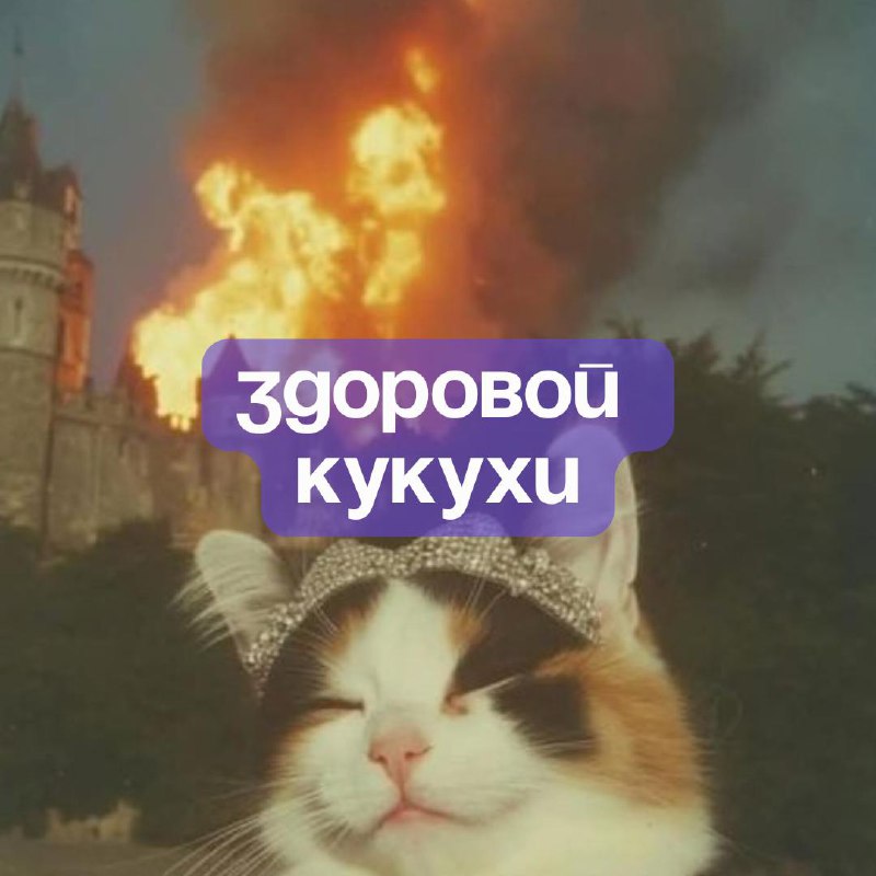 ✨С наступающим Новым годом, дорогие рефничане✨
До Нового года осталось совсем чуть-чуть — пора завершать все дела, нарезать салаты, смотреть Иронию судьбы и дарить подаорки 🍊
Спасибо вам за то, что бы... | Сетка — социальная сеть от hh.ru