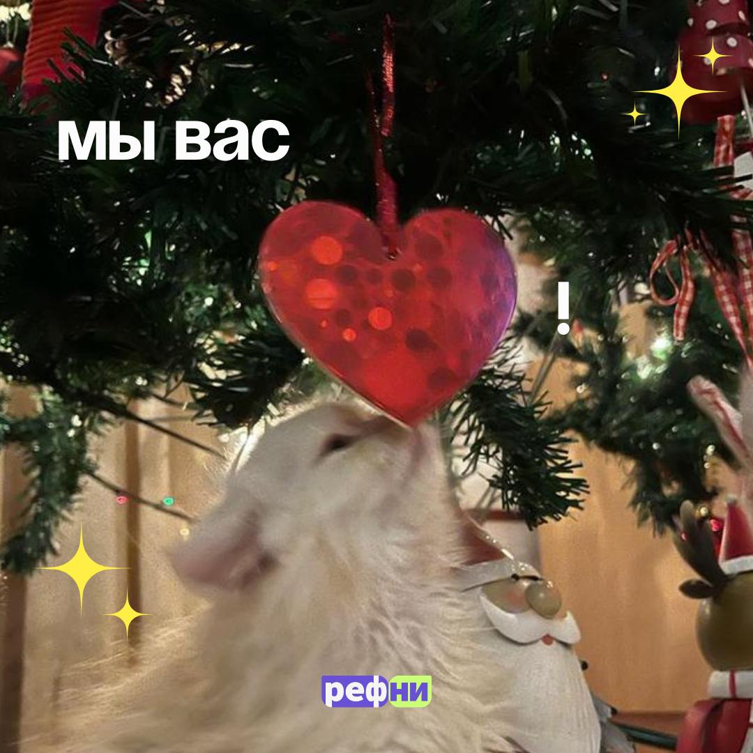 ✨С наступающим Новым годом, дорогие рефничане✨
До Нового года осталось совсем чуть-чуть — пора завершать все дела, нарезать салаты, смотреть Иронию судьбы и дарить подаорки 🍊
Спасибо вам за то, что бы... | Сетка — социальная сеть от hh.ru