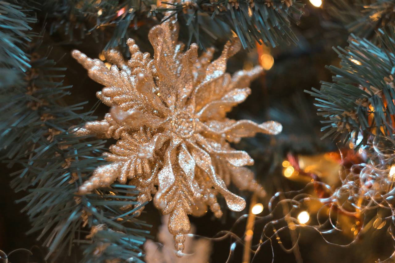 Поздравляю всех с наступающим Новым годом и Рождеством 🎄✨✨
Желаю крепкого здоровья, счастья, благополучия, изобилия | Сетка — социальная сеть от hh.ru