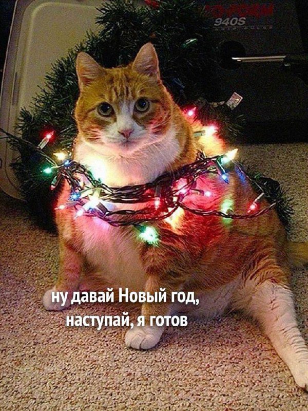 Привет, друзья! ✨🎄
Хочу от всей души поблагодарить вас за то, что читаете канал, ставите реакции и делитесь тем, что нравится | Сетка — социальная сеть от hh.ru