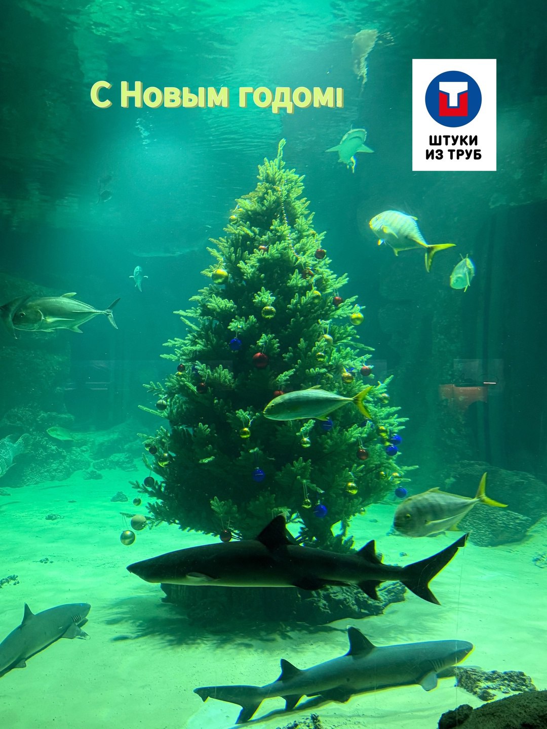 С Новым годом! С новым счастьем! | Сетка — социальная сеть от hh.ru