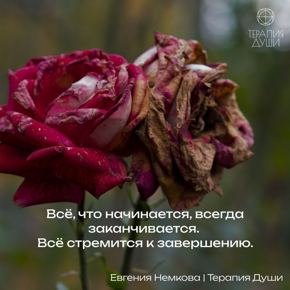 Всё, что начинается, всегда заканчивается. Всё стремится к завершению.
В этой жизни нет ничего, что было бы вечным.
Всё стареет, всё разрушается, всё завершается | Сетка — социальная сеть от hh.ru