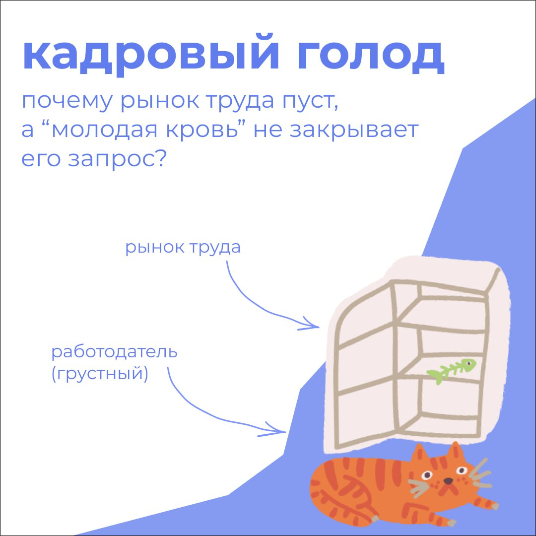 В России много говорят о кадровом голоде — не хватает молодых специалистов, которые готовы закрывать растущие потребности рынка | Сетка — социальная сеть от hh.ru