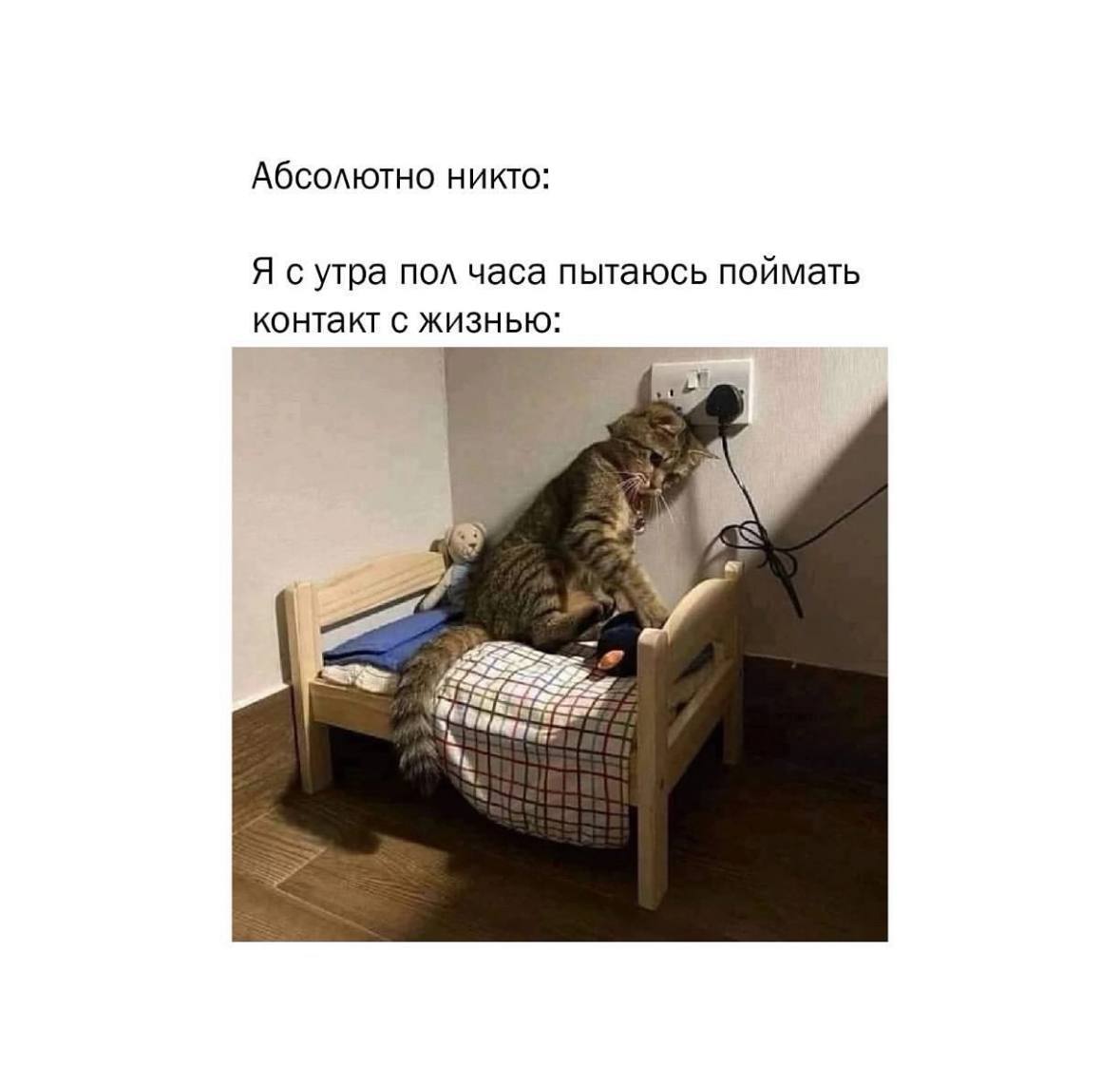 Ну как, отошли уже от празднования? 😉
А мы к вам с новой порцией мемов | Сетка — социальная сеть от hh.ru