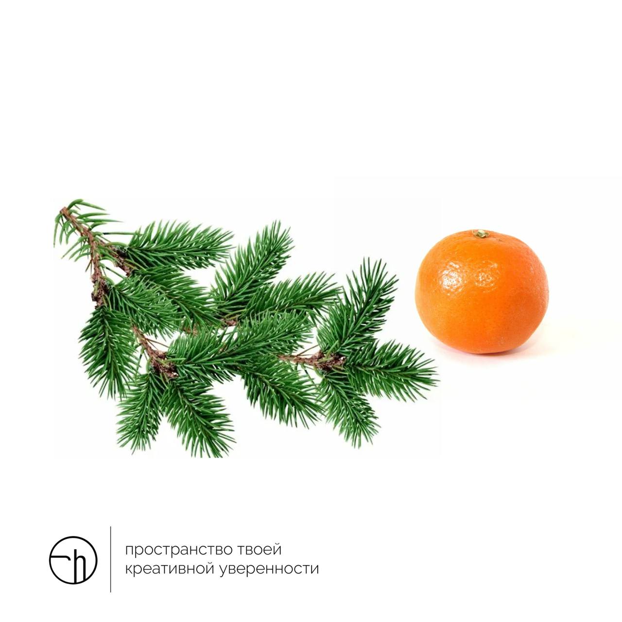 Второго числа вы обнаружили себя в пустой белой комнате с еловой веточкой и мандарином. Больше ничего нет, и вам срочно надо что-то придумать | Сетка — социальная сеть от hh.ru