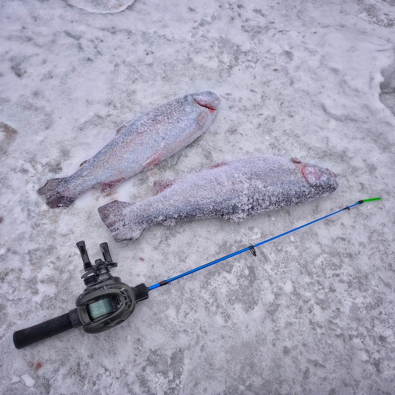 Как я провел 31 декабря 🥳🍾🎄А провёл я его правильно — на рыбалке 🎣.
Решил я к новогоднему столу поймать немного жареных форелей. Поэтому, с утра пораньше — собираю манатки и еду на платник | Сетка — социальная сеть от hh.ru