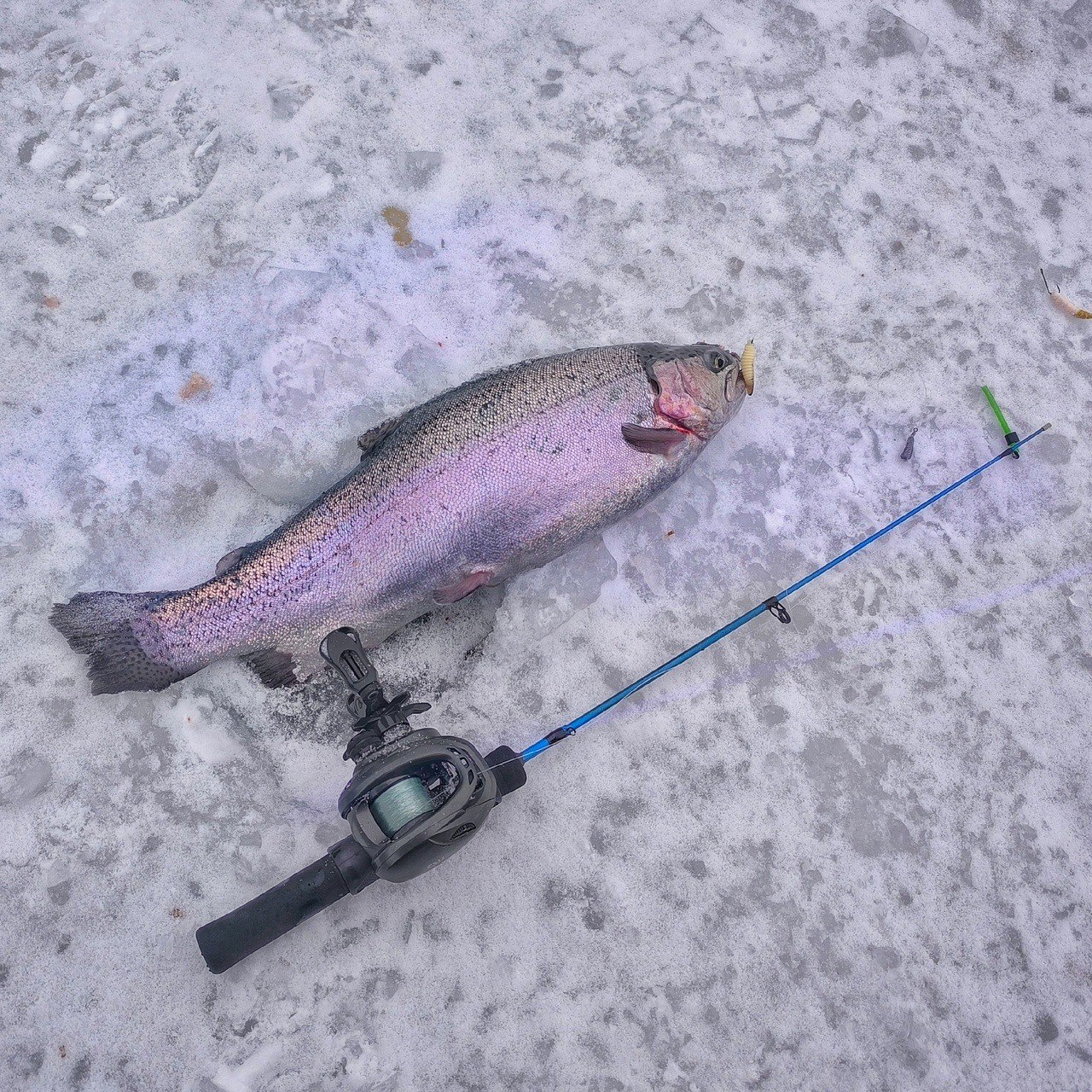 Как я провел 31 декабря 🥳🍾🎄А провёл я его правильно — на рыбалке 🎣.
Решил я к новогоднему столу поймать немного жареных форелей. Поэтому, с утра пораньше — собираю манатки и еду на платник | Сетка — социальная сеть от hh.ru