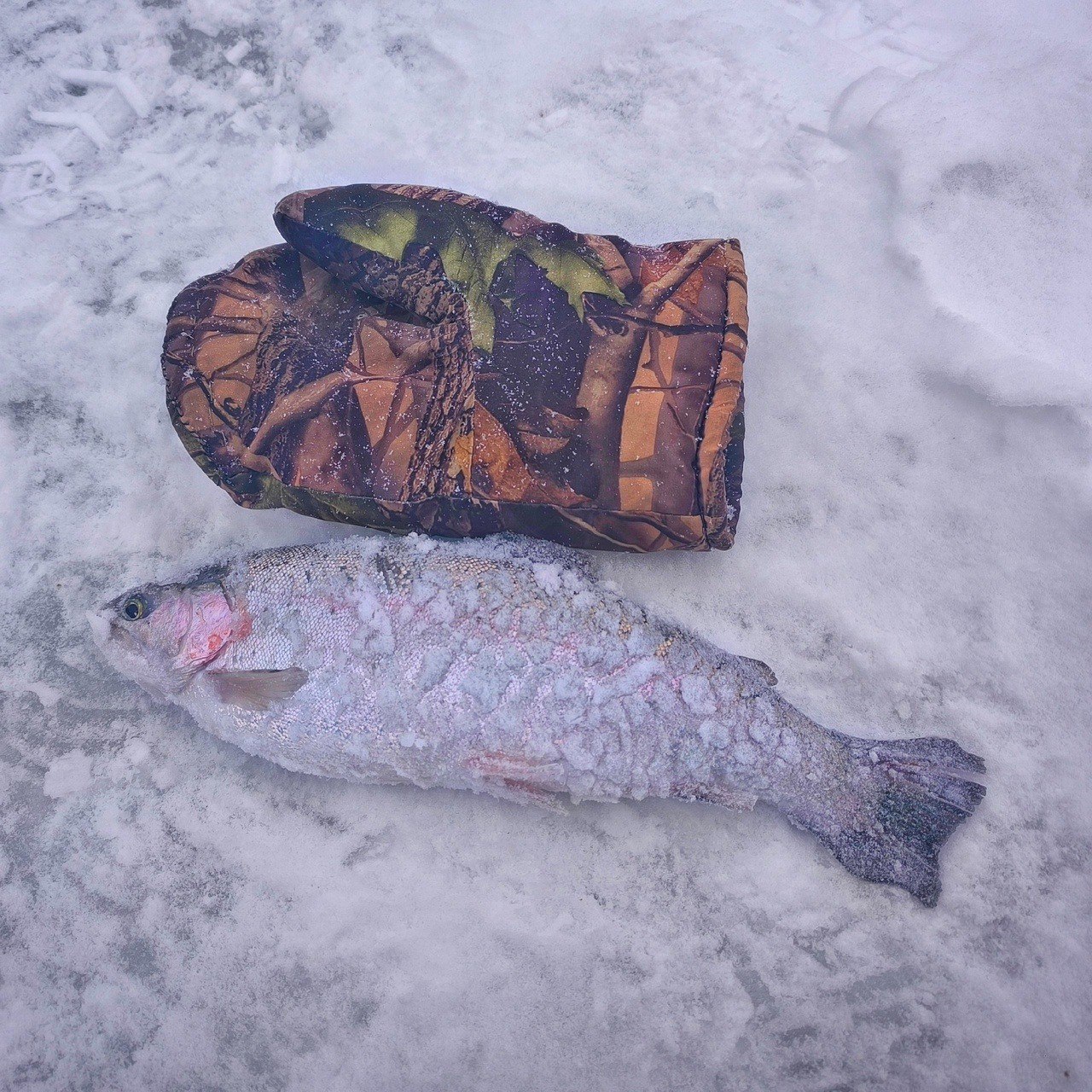 Как я провел 31 декабря 🥳🍾🎄А провёл я его правильно — на рыбалке 🎣.
Решил я к новогоднему столу поймать немного жареных форелей. Поэтому, с утра пораньше — собираю манатки и еду на платник | Сетка — социальная сеть от hh.ru