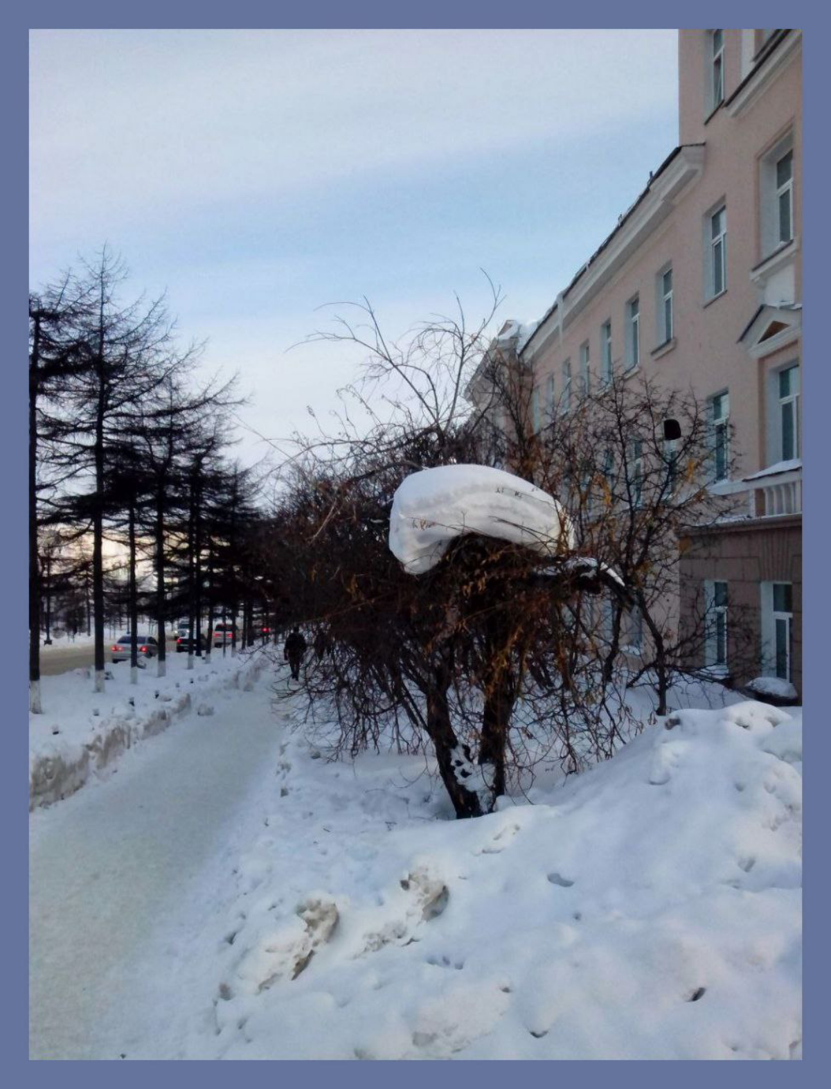 Гнездо Лихоманки / Likhomanka's Nest | Сетка — социальная сеть от hh.ru