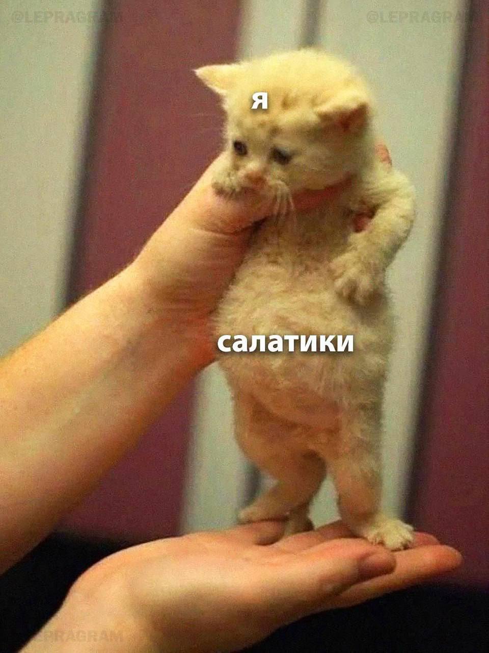 Статистика на новогодних 🎄
Картинка для привлечения внимания 😊
Есть пара основных трендов в поведении подписчиков в январе:
1⃣Чистка пространства - я ждала основные отписки в конце декабря, но руки у ... | Сетка — социальная сеть от hh.ru