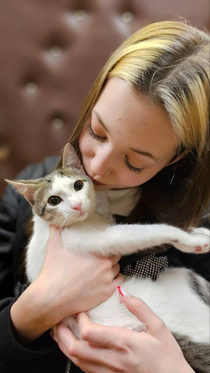 Пост Помощи
Отдадут срочно котика с сердечком ♥️ в хорошие руки. Приучен к лотку, кушает всё, привит, здоров, очень ласковый, не пакостный.
С котом отдадут лоток-туалет, наполнитель, миски, корм | Сетка — социальная сеть от hh.ru