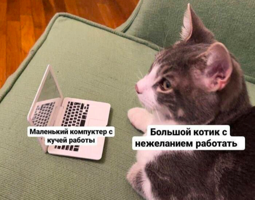 Признавайтесь, кто будет таким 9 января? | Сетка — социальная сеть от hh.ru